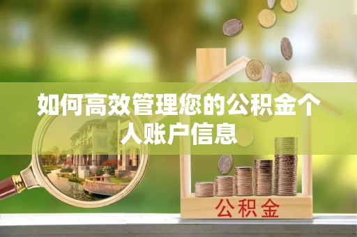 北竿如何高效管理您的公积金个人账户信息