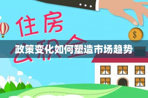 北竿政策变化如何塑造市场趋势