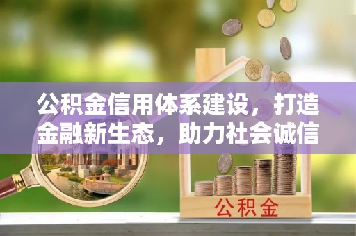 北竿公积金信用体系建设，打造金融新生态，助力社会诚信发展