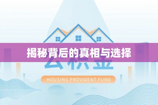 北竿揭秘背后的真相与选择