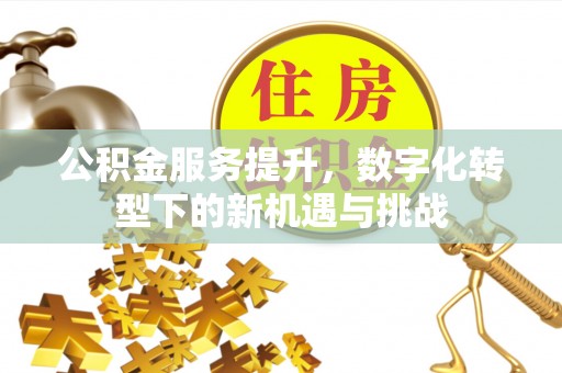北竿公积金服务提升，数字化转型下的新机遇与挑战