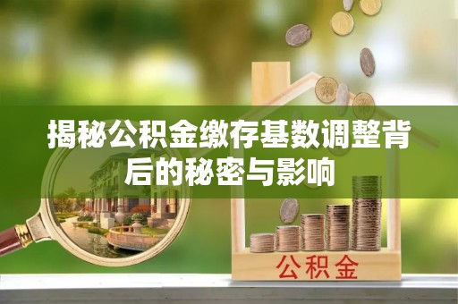 北竿揭秘公积金缴存基数调整背后的秘密与影响
