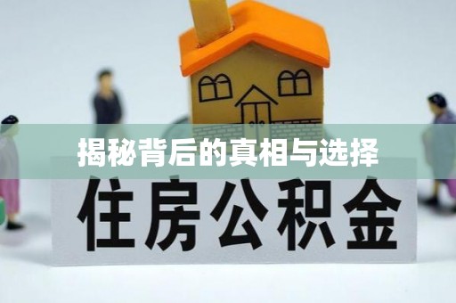 北竿揭秘背后的真相与选择