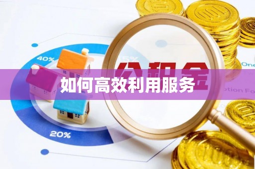 北竿如何高效利用服务