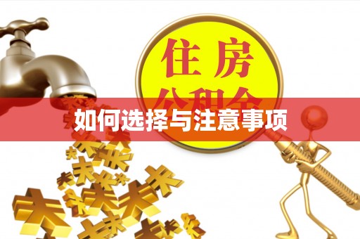 北竿如何选择与注意事项