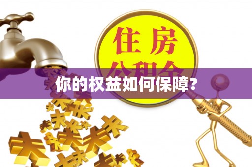 北竿你的权益如何保障？