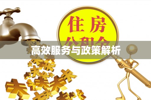 北竿高效服务与政策解析