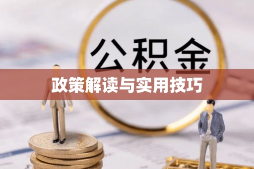 北竿政策解读与实用技巧