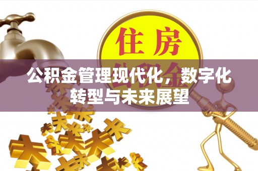 北竿公积金管理现代化，数字化转型与未来展望