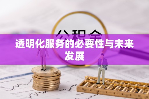 北竿透明化服务的必要性与未来发展
