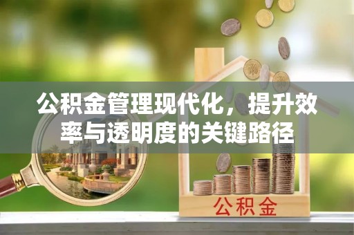北竿公积金管理现代化，提升效率与透明度的关键路径
