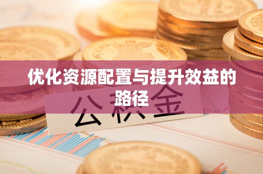 北竿优化资源配置与提升效益的路径